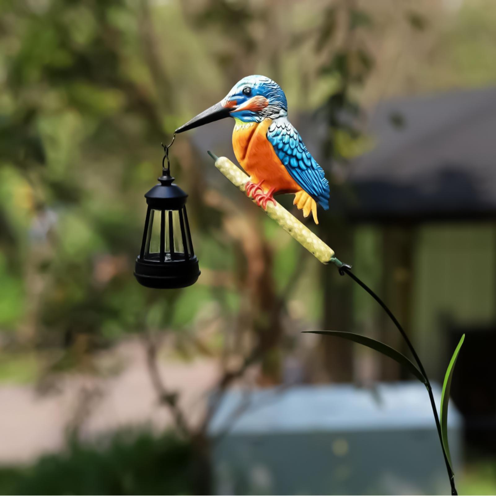 Solarbetriebene Eisvogel-Licht – Outdoor Lighting Pathway Bewertung und Preis