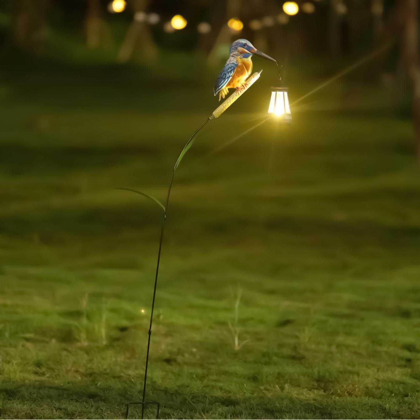 Solarbetriebene Eisvogel-Licht – Outdoor Lighting Pathway Bewertung und Preis