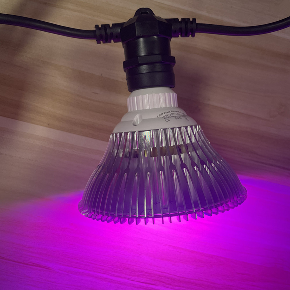 10 m langes LED-Kabel, wasserd – Outdoor Lighting And Landscape Bewertung und Preis